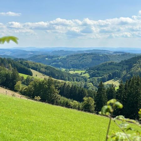 Ferienwohnung Up Willingen-Schwalefeld 빌링겐 외부 사진