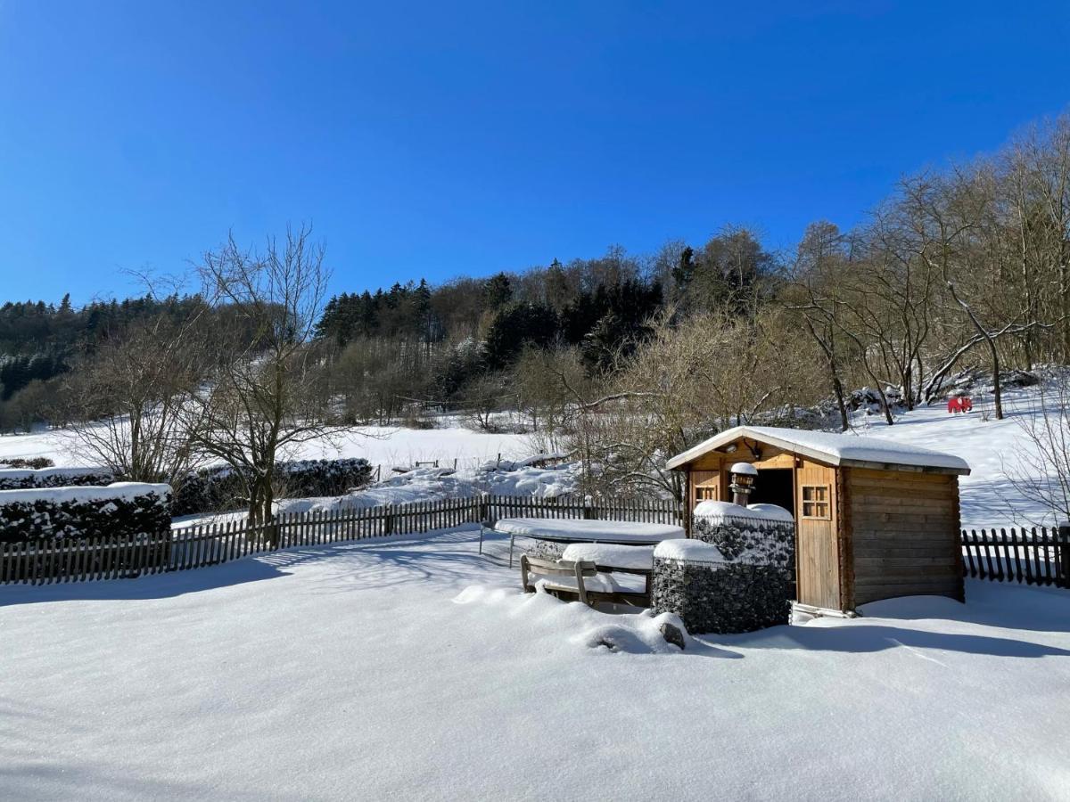 Ferienwohnung Up Willingen-Schwalefeld 빌링겐 외부 사진