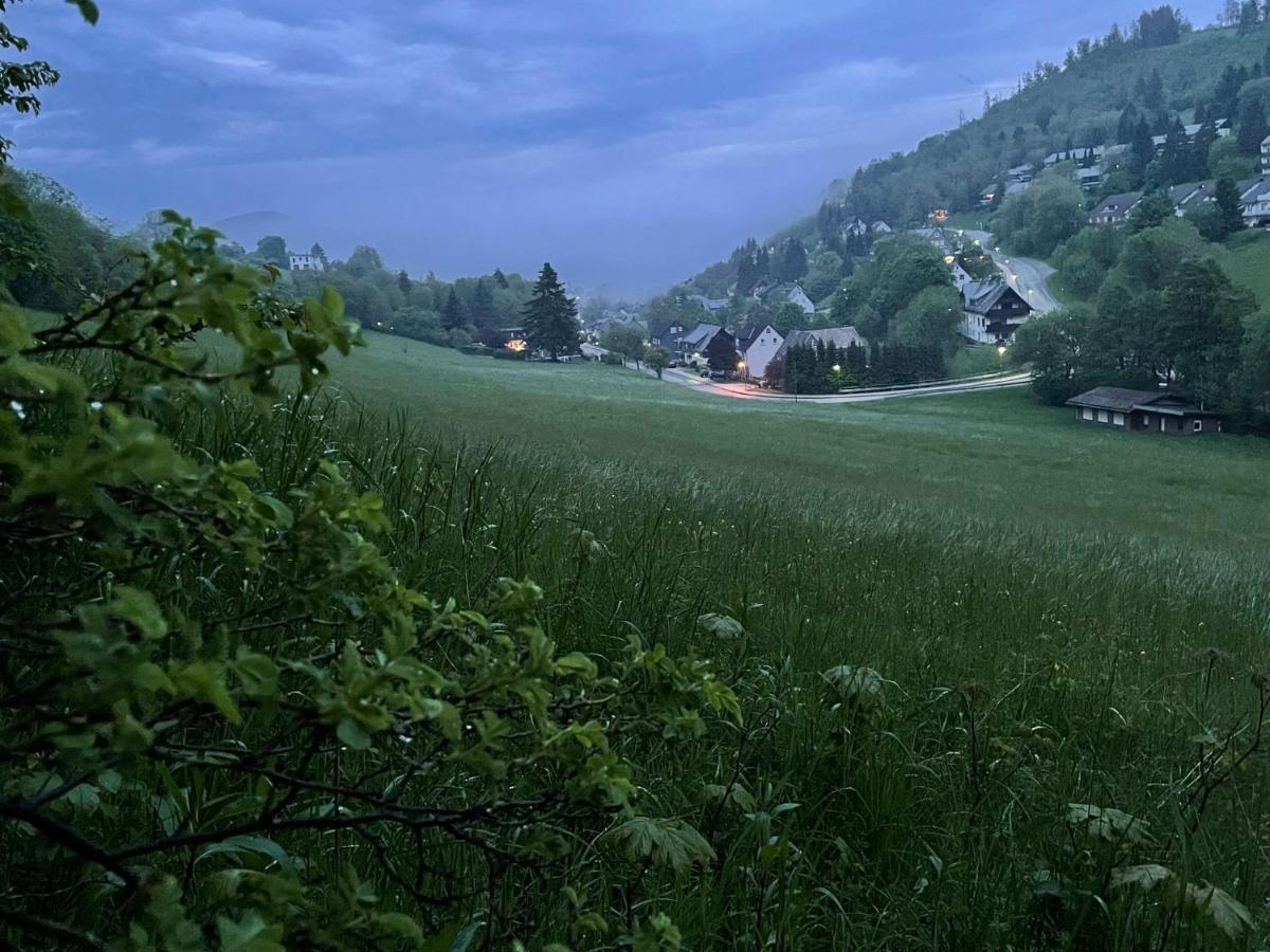 Ferienwohnung Up Willingen-Schwalefeld 빌링겐 외부 사진