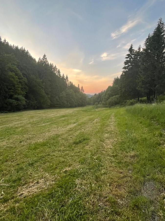 Ferienwohnung Up Willingen-Schwalefeld 빌링겐 외부 사진