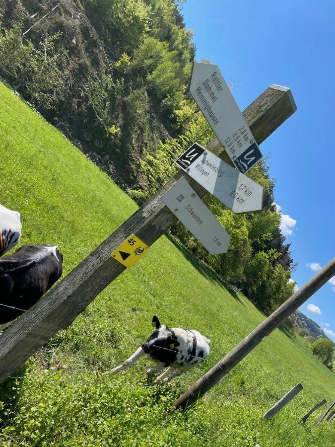 Ferienwohnung Up Willingen-Schwalefeld 빌링겐 외부 사진