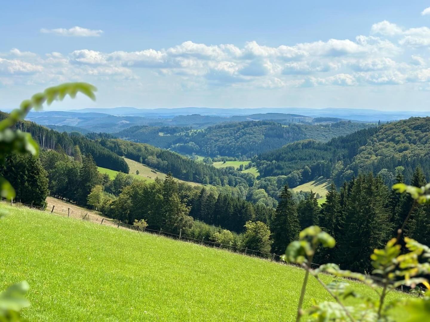 Ferienwohnung Up Willingen-Schwalefeld 빌링겐 외부 사진